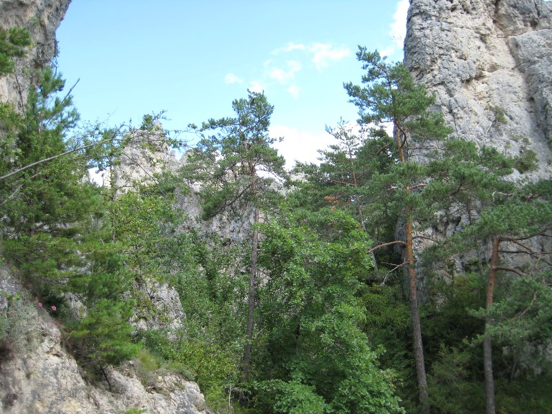 ../Images/2012-07-10-16h15m52 .jpg